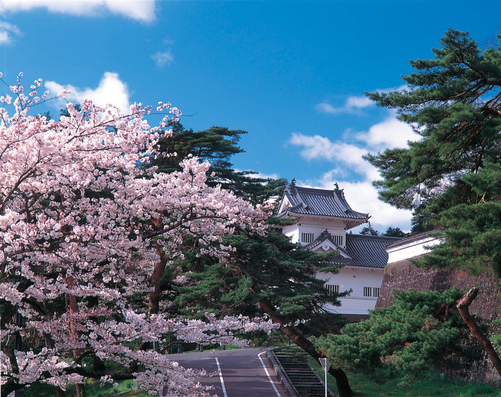 春の青葉城の写真。櫓が満開の桜に囲まれている。