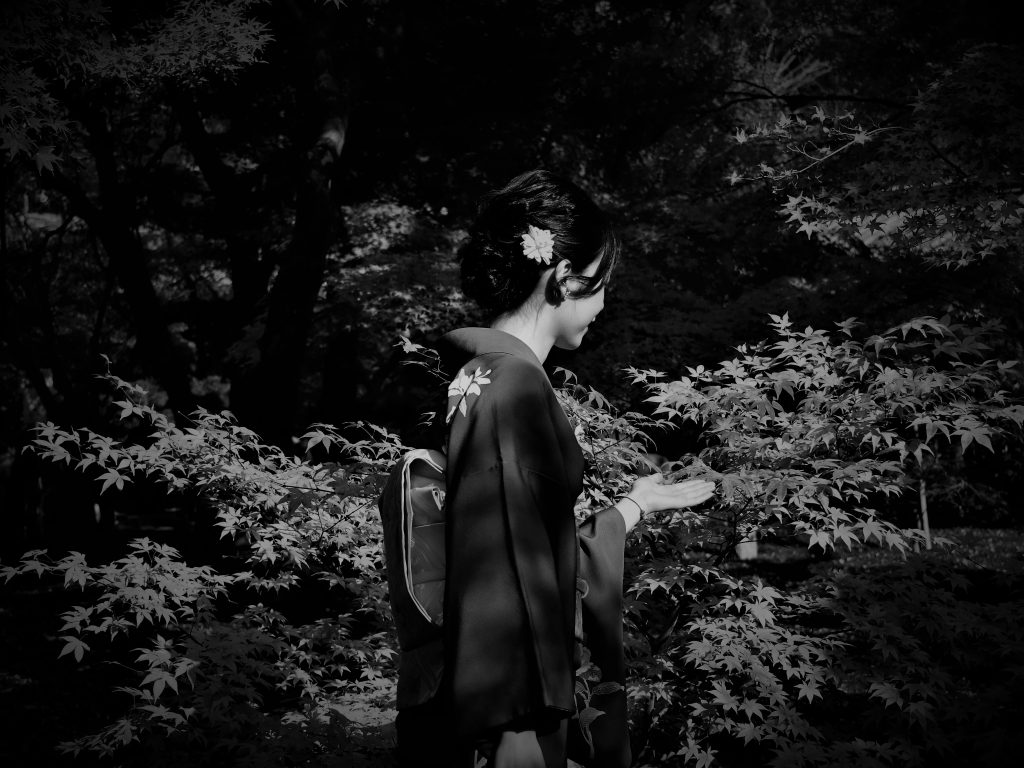 着物姿の女性が後ろ姿でもみじの生い茂る森に佇んでいる白黒写真