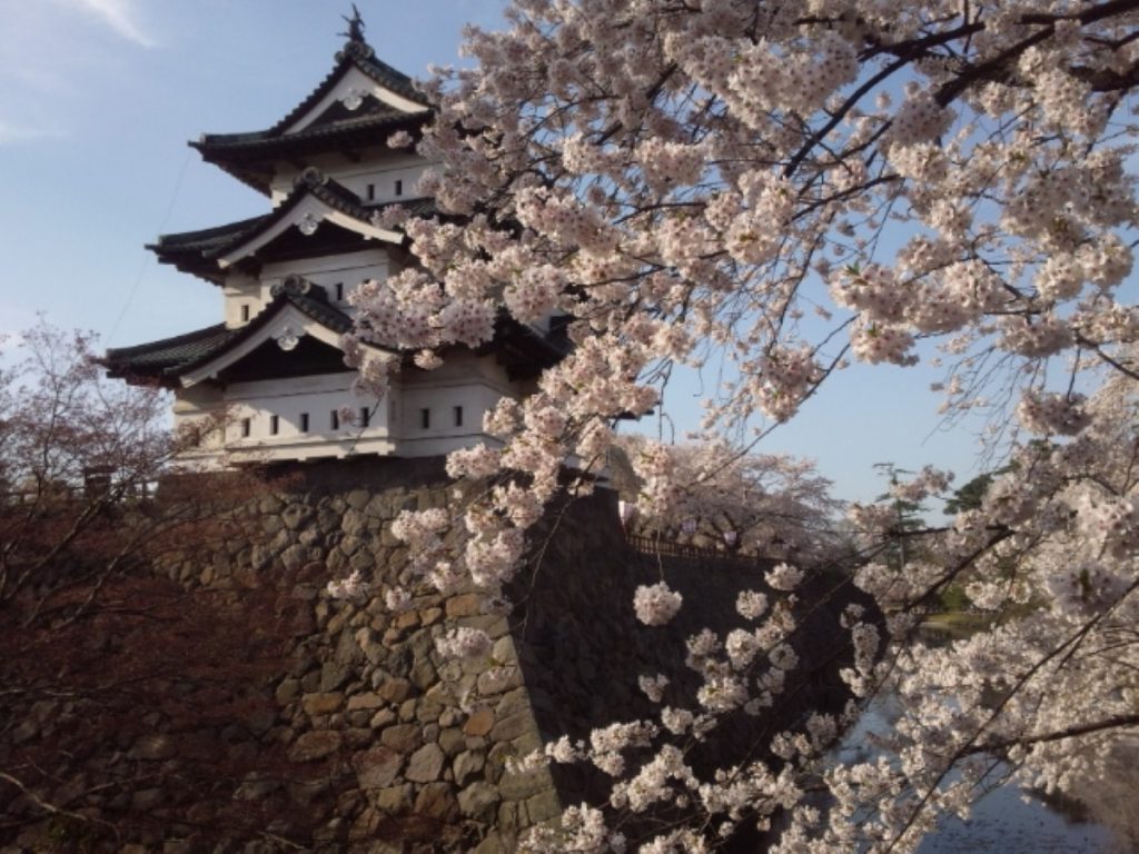 桜の名所としても有名な弘前城