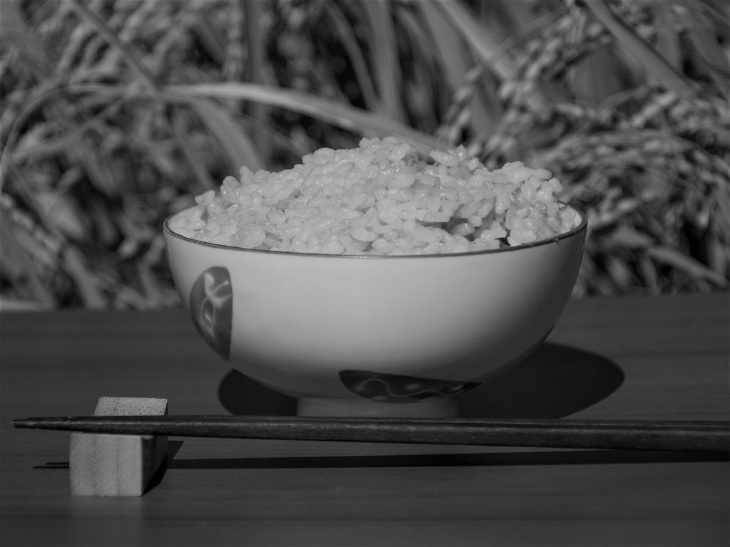 お茶碗に入っている麦ごはんがベンチの上に載っていて、後ろに作物が生えている白黒写真