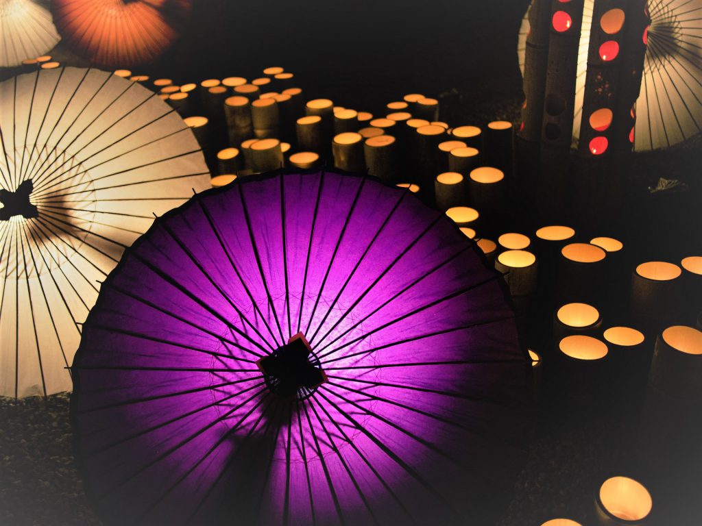 白色と紫色の和傘がライトアップされ幻想的な様子。