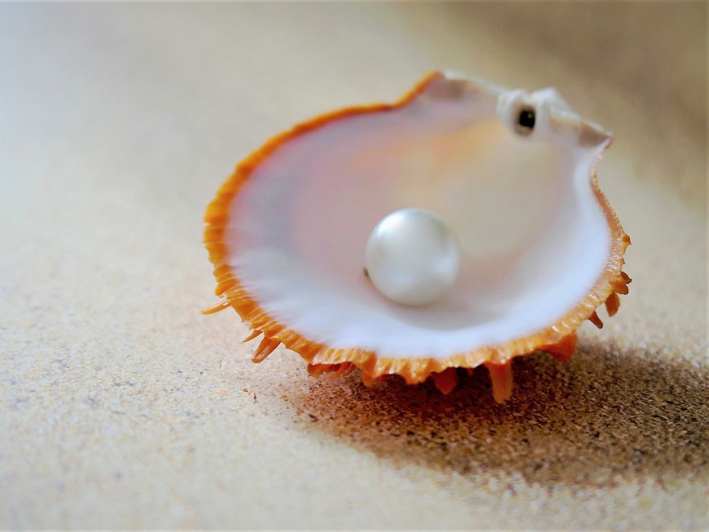 貝殻が砂浜にありその中に真珠が一粒ある
