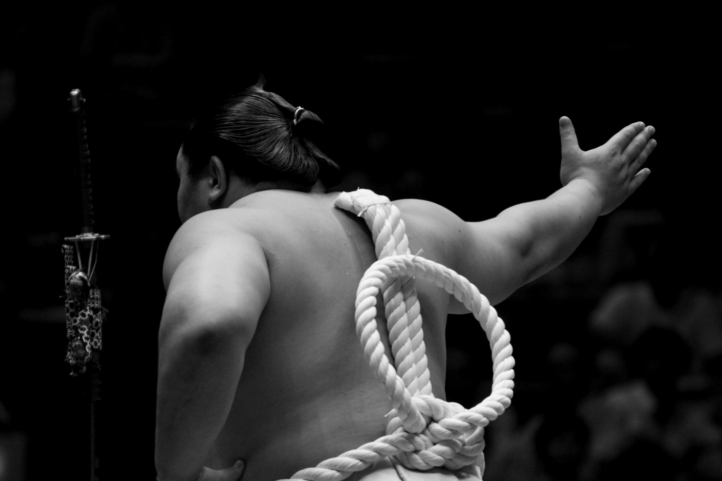 Black-and-white back view of a yokozuna wearing the ceremonial rope during dohyo-iri
