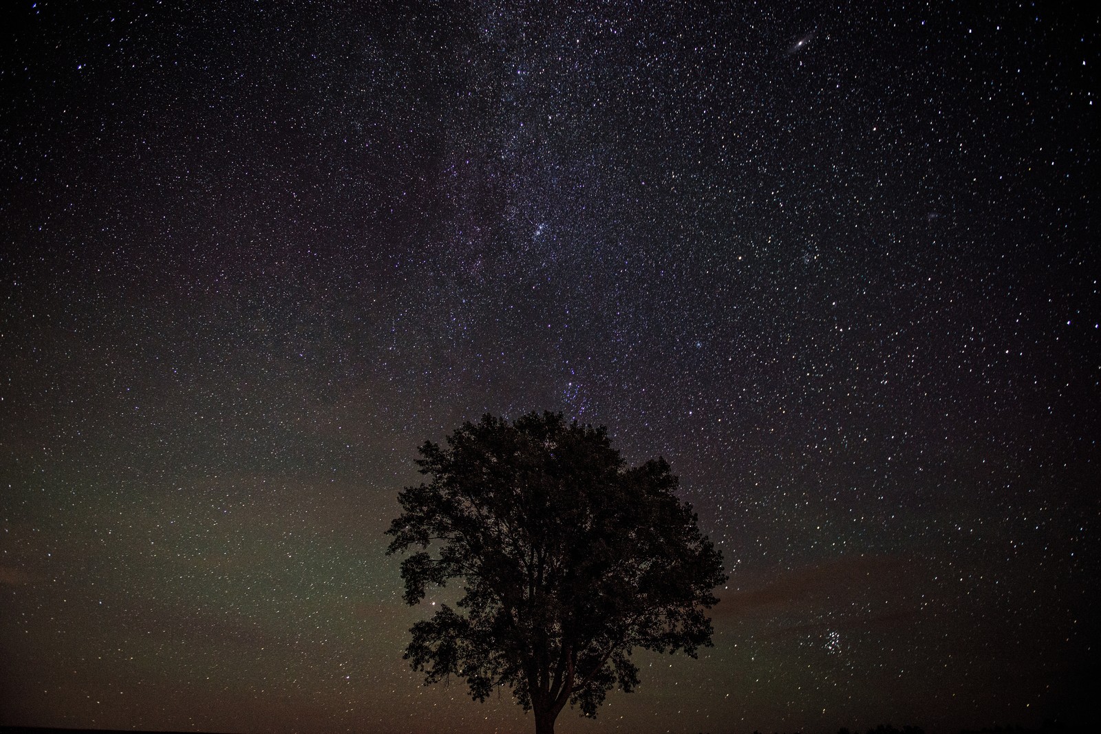 美瑛の木と星空（白い満天の星空、プラネタリウムのよう。その下にひとつ、大きく佇む哲学の木のシルエット。無数の星々はまるで木のエナジーをあらわしているかのように映る。天の川かもしれない星々の流れ）