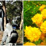 山吹の花を差し出す少女と道灌の銅像