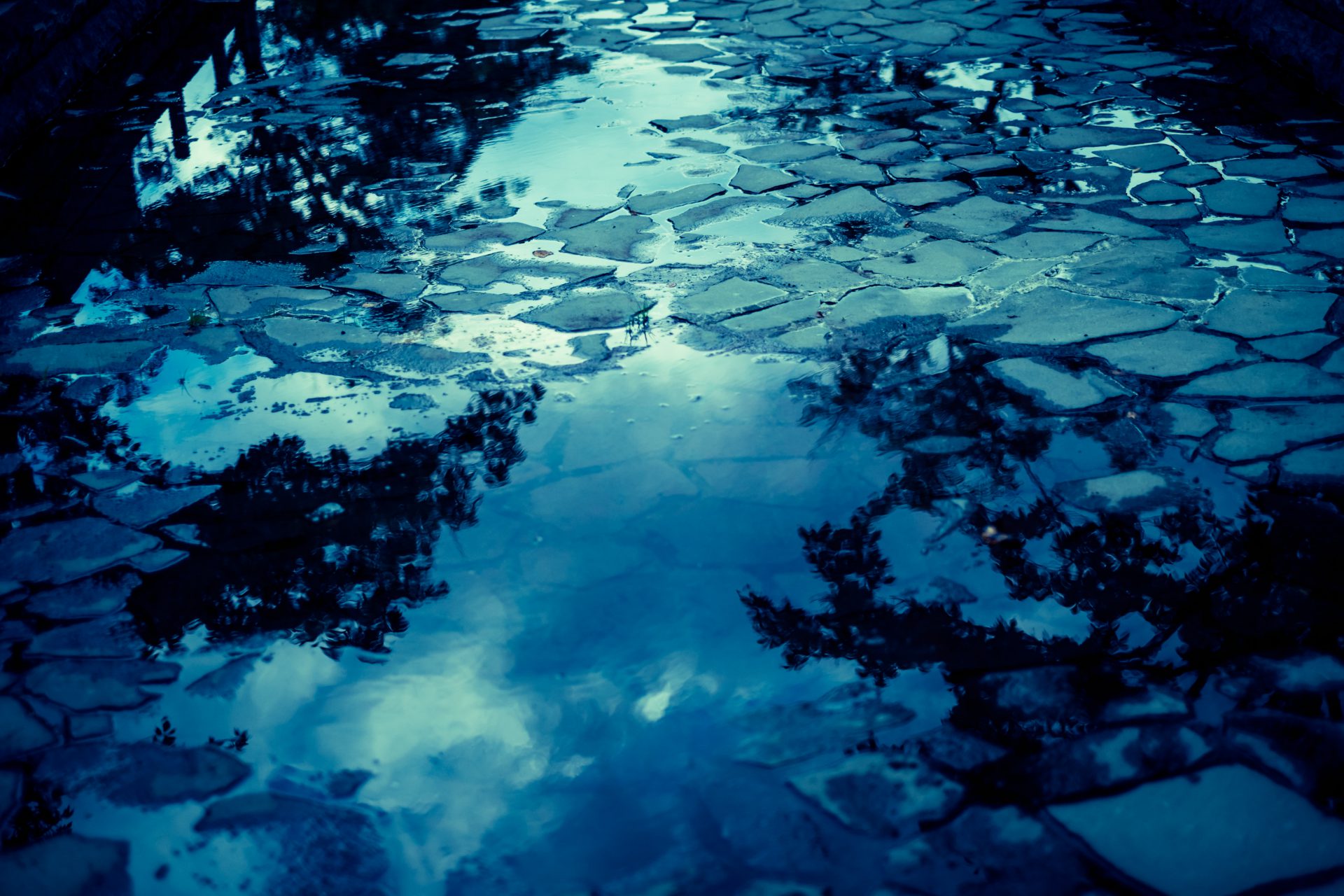 水溜りと映り込む空（画面全体が水底のような深い蒼の世界。水たまり映るのは、黒い影のよう樹々、白い雲の浮かぶ青空。またガラスのかけらのような地面、小石が浮かぶ））