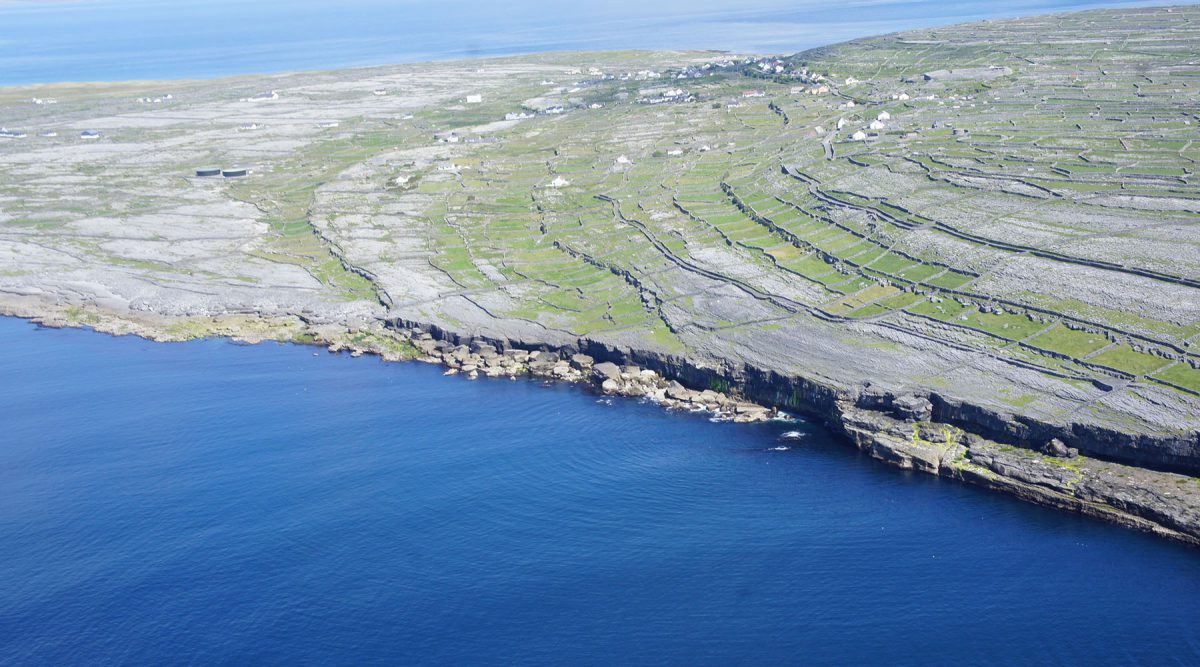 アイルランドのアラン諸島の一つ、イニシュマン島です。この島にもライムストーンの石垣があり、防風対策、土地の区画用、家畜用の柵として長い時間をかけて構築されてきました。
