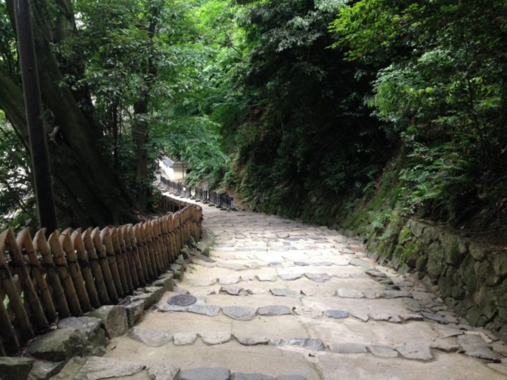 竹矢来、写真は彦根城のもの