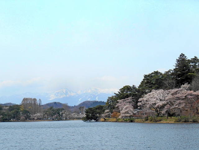 南湖公園は松平定信が造った日本最古の公園です