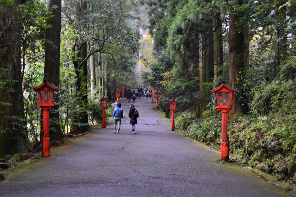 箱根神社の参道赤い灯篭がたくさん杉並木