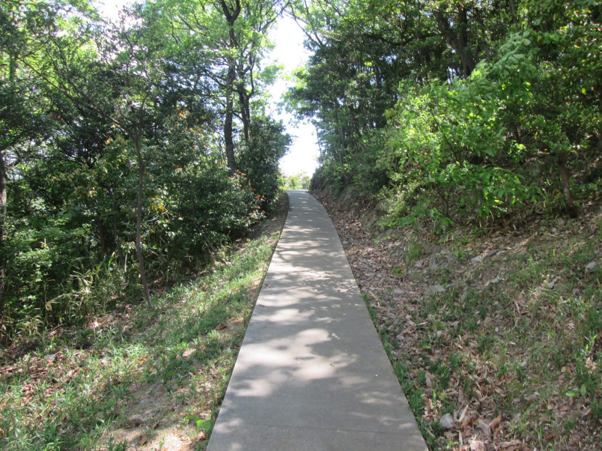 豊島美術館に向かう周回路。この小路の先でどのような体験をすることができるでしょうか。筆者撮影