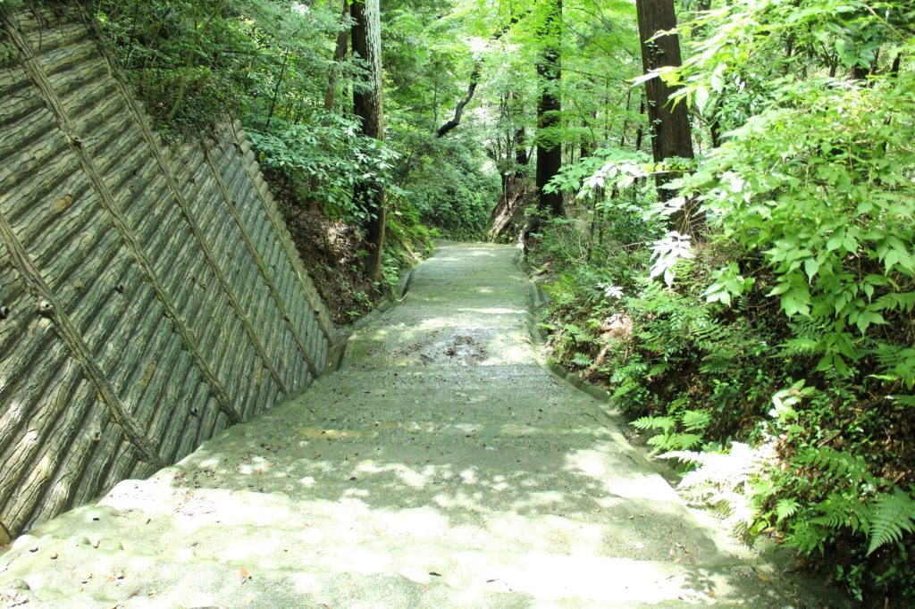 高天神城跡は整備され本丸跡まで登りやすくなっています