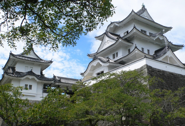 伊賀上野城は後の大坂の陣を意識して改修され、高い石垣が特徴になっています
