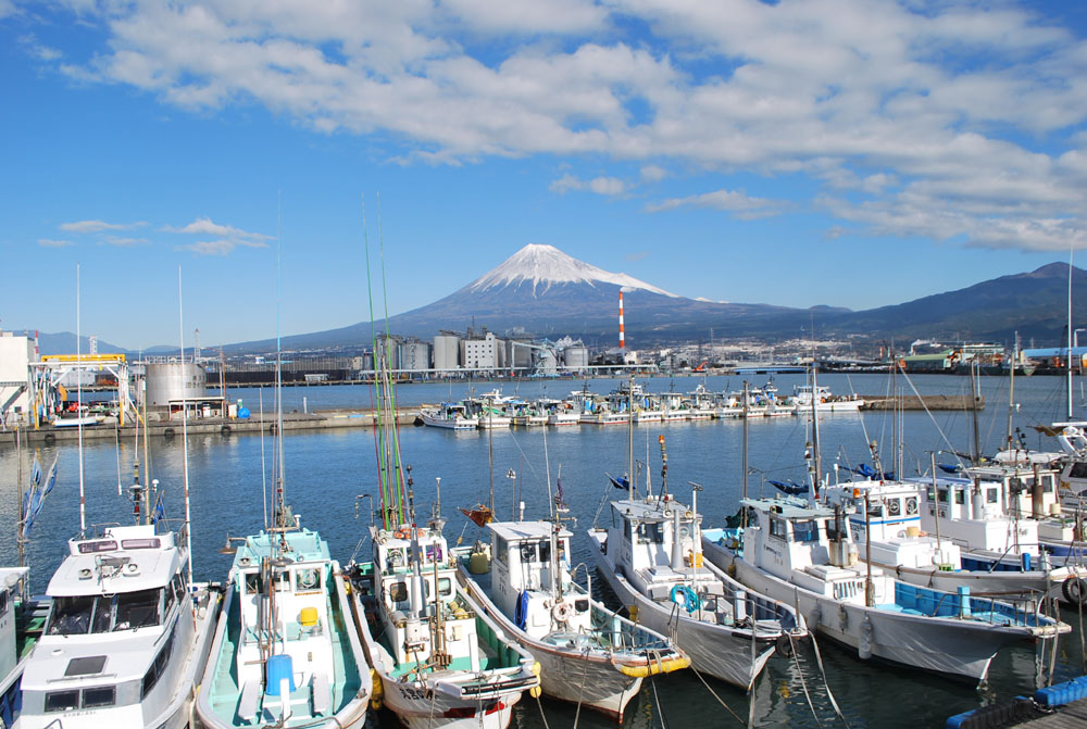 静岡県富士市の写真。しらす漁の港から富士山を臨む