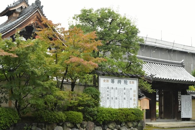 菩提寺、現代の様子。紅葉が美しい。