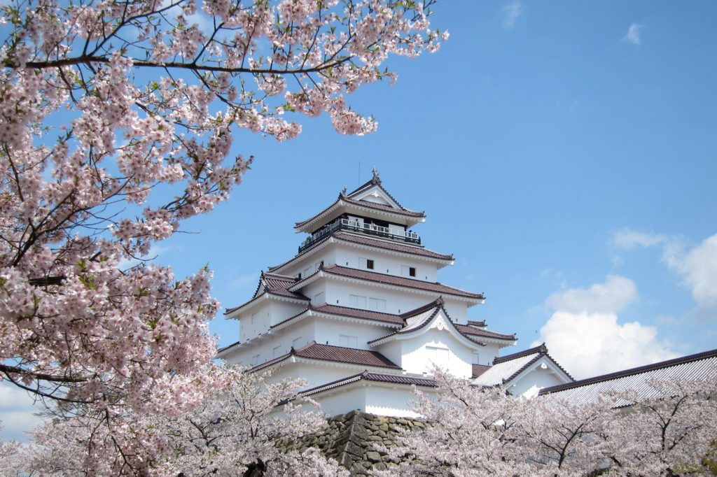 桜の木々の向こうに見える鶴ヶ城の様子。
