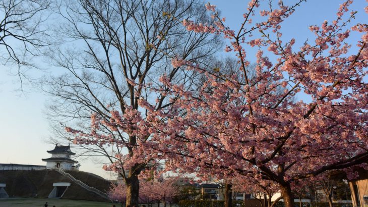 宇都宮城址公園は市民の憩いの場として定着しています