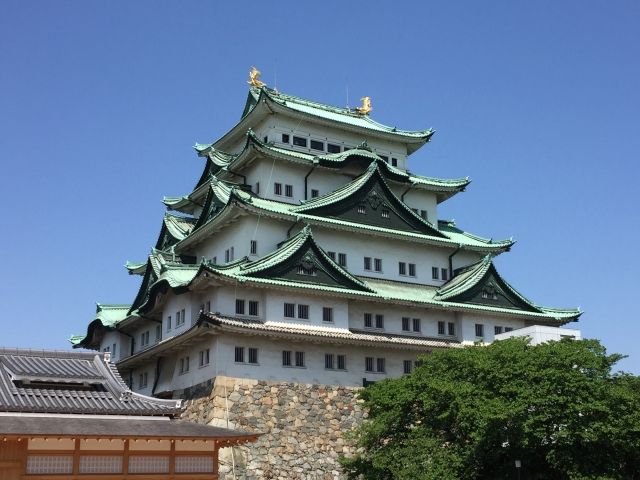 名古屋城は天下の大名たちが集まって造った天下普請の城です