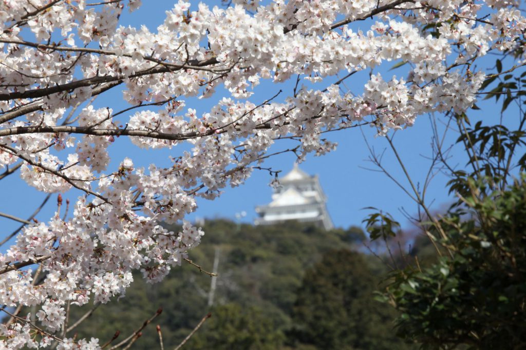春の岐阜城