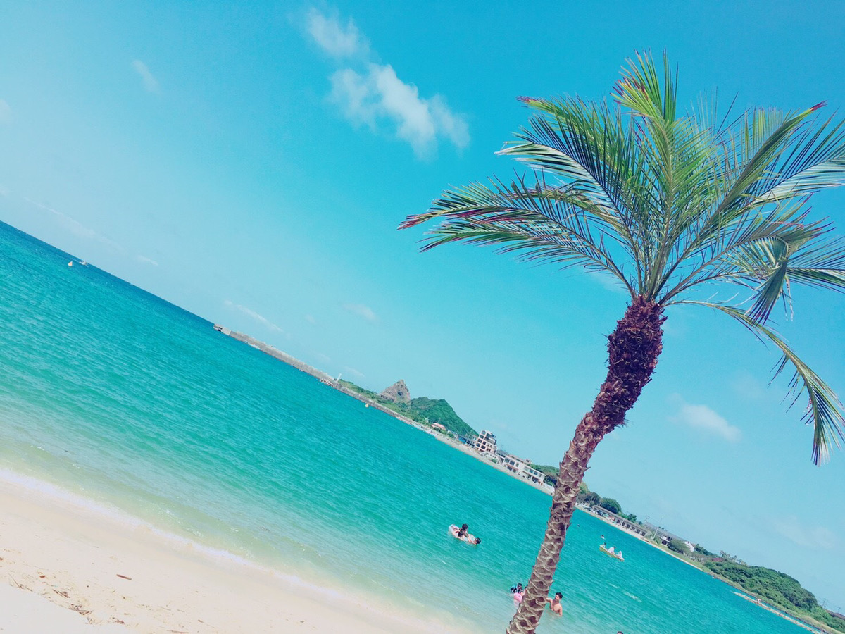 糸島の美しいビーチと椰子の木
