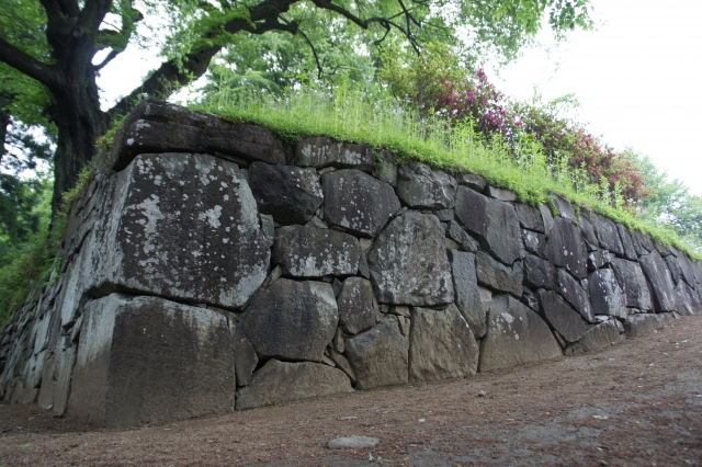 沼田城は真田氏の第二の拠点であり、信之は早くからの祖の統治を父から委ねられました
