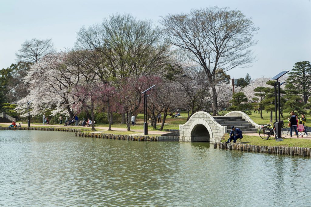 水城公園は元々忍城の外堀でした。