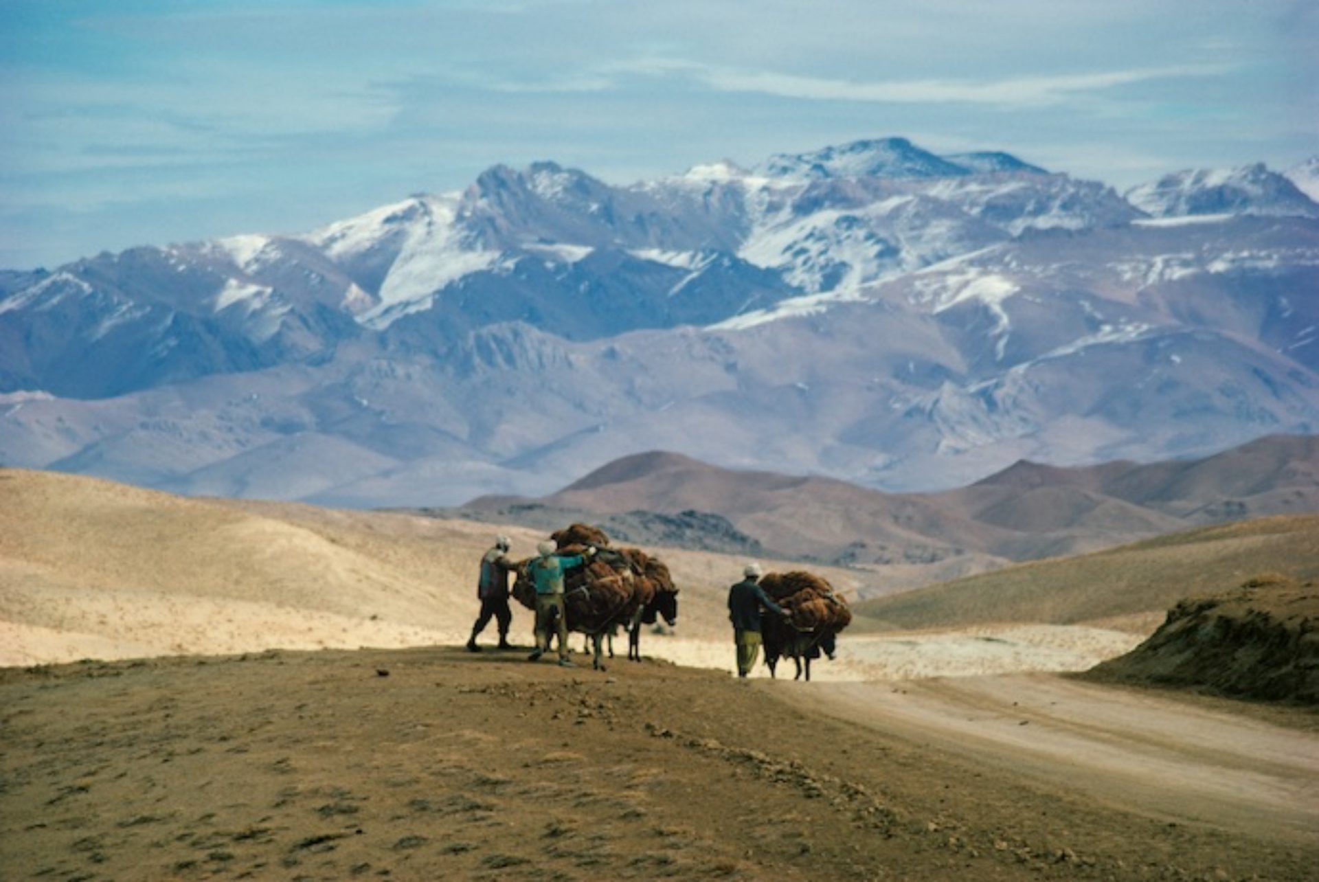 遊牧民と牛が荒野を行く姿。篠山紀信「シルクロード」写真展の写真