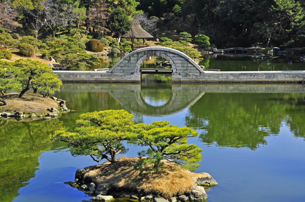 公園の池の様子。