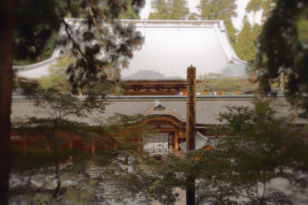 比叡山延暦寺根本中堂の外観。