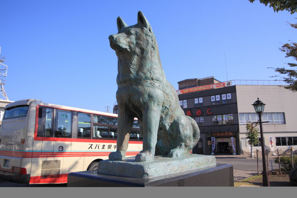 大館駅のハチ公像の様子。