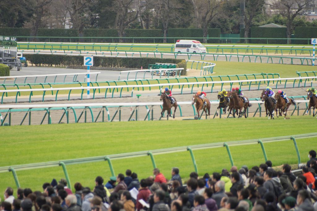 中山競馬場は千葉県船橋市にある競馬場です