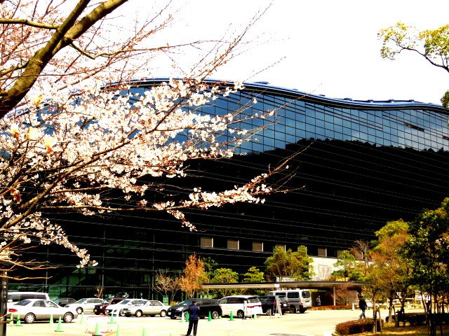 九州国立博物館の近代的な建物の様子。