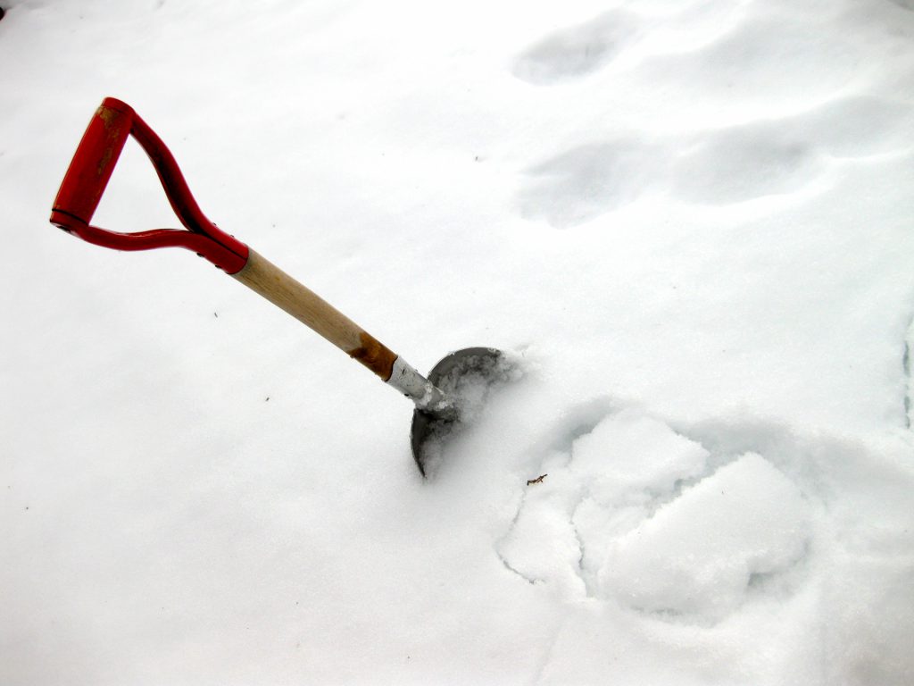 積雪にささるシャベルの写真