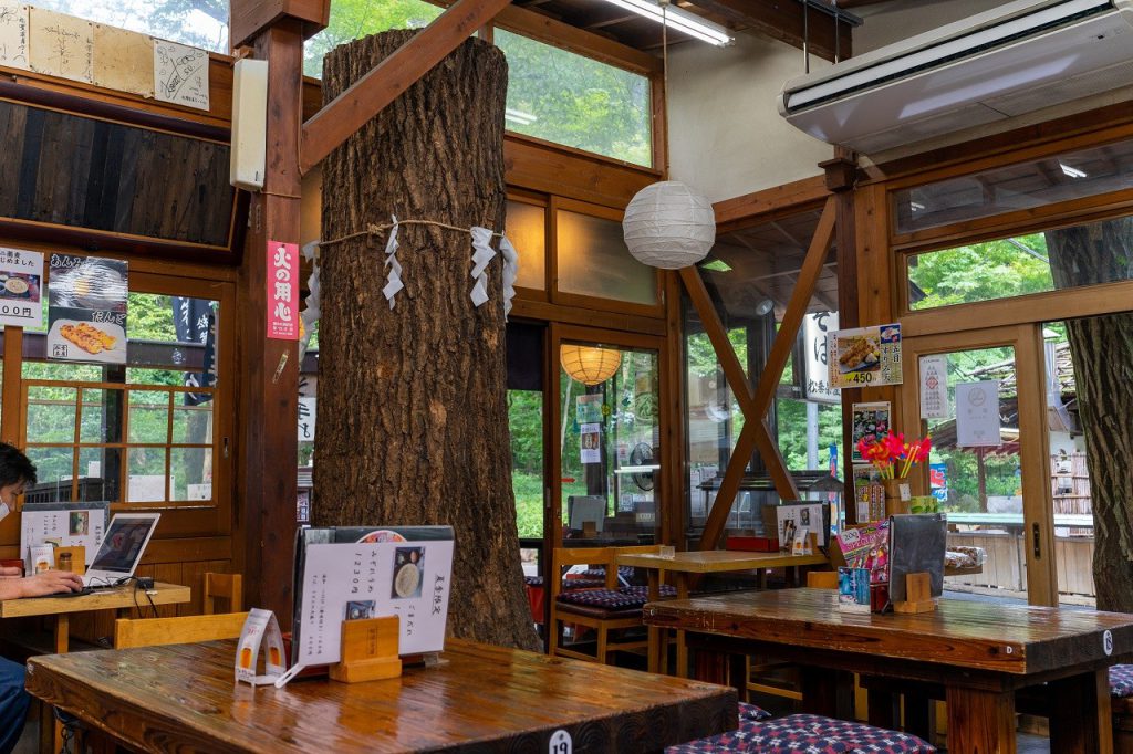 深大寺そば「松葉茶屋」の店内にはコナラの古木が今も大切にされ立っています。