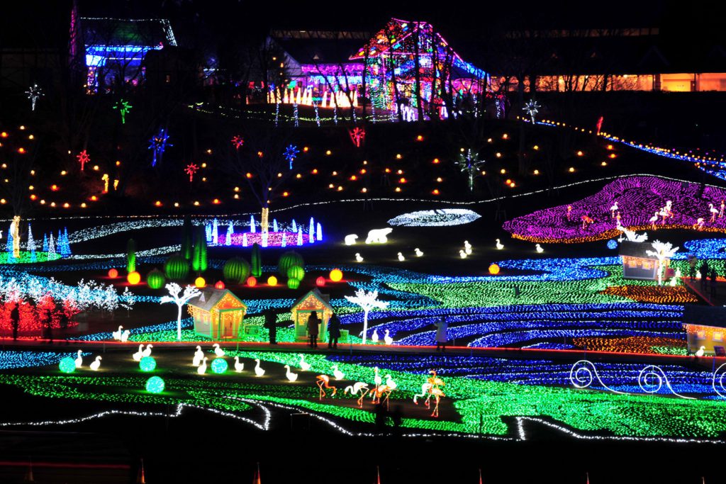 東京ドイツ村の夜間の様子。イルミネーションが賑やかに公園を彩っている。