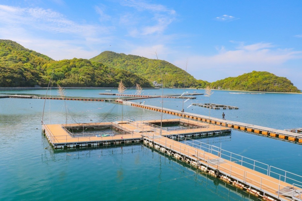 東香川にある日本最大級の海水釣堀で海釣り体験ができる「安戸池 フィッシュフック」