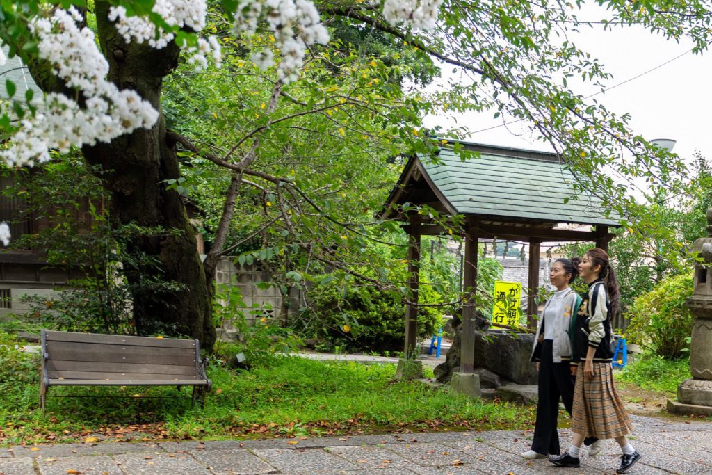 「諏訪大神社」境内での横須賀市公式動画「どぶ板通りとスカジャン」撮影風景