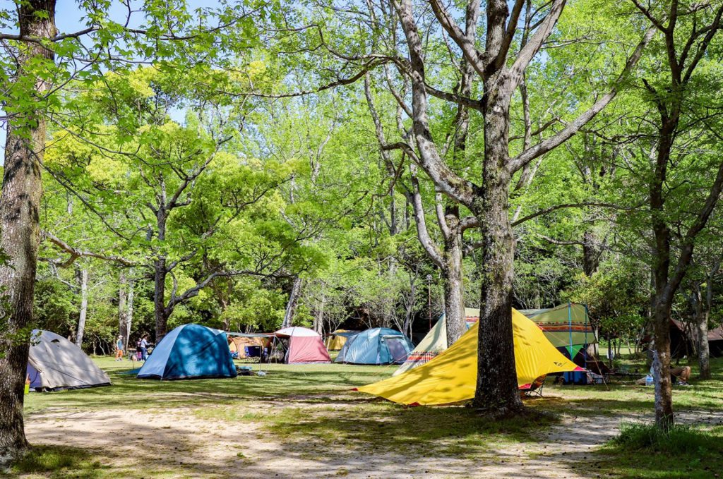 東かがわ市にある「田の浦野営場」。無料で自由に使える開放的な野営場の様子。いくつもテントが張られている。