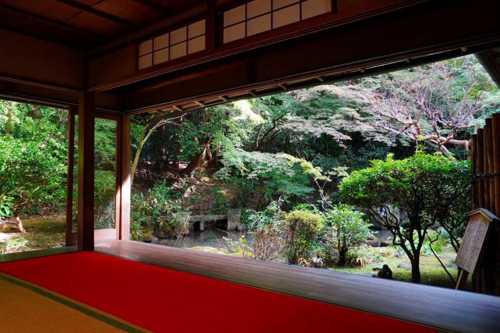 長楽寺の中からみた庭園の風景。美しく整えられた、緑の木々が見えます。部屋の縁側寄りには、赤いじゅうたんが敷かれています。