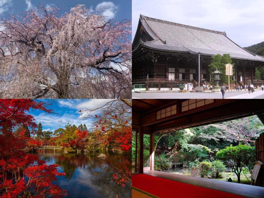 左上が桜の大木、左下が紅葉、右上がお寺、右下が庭園の4つの写真。