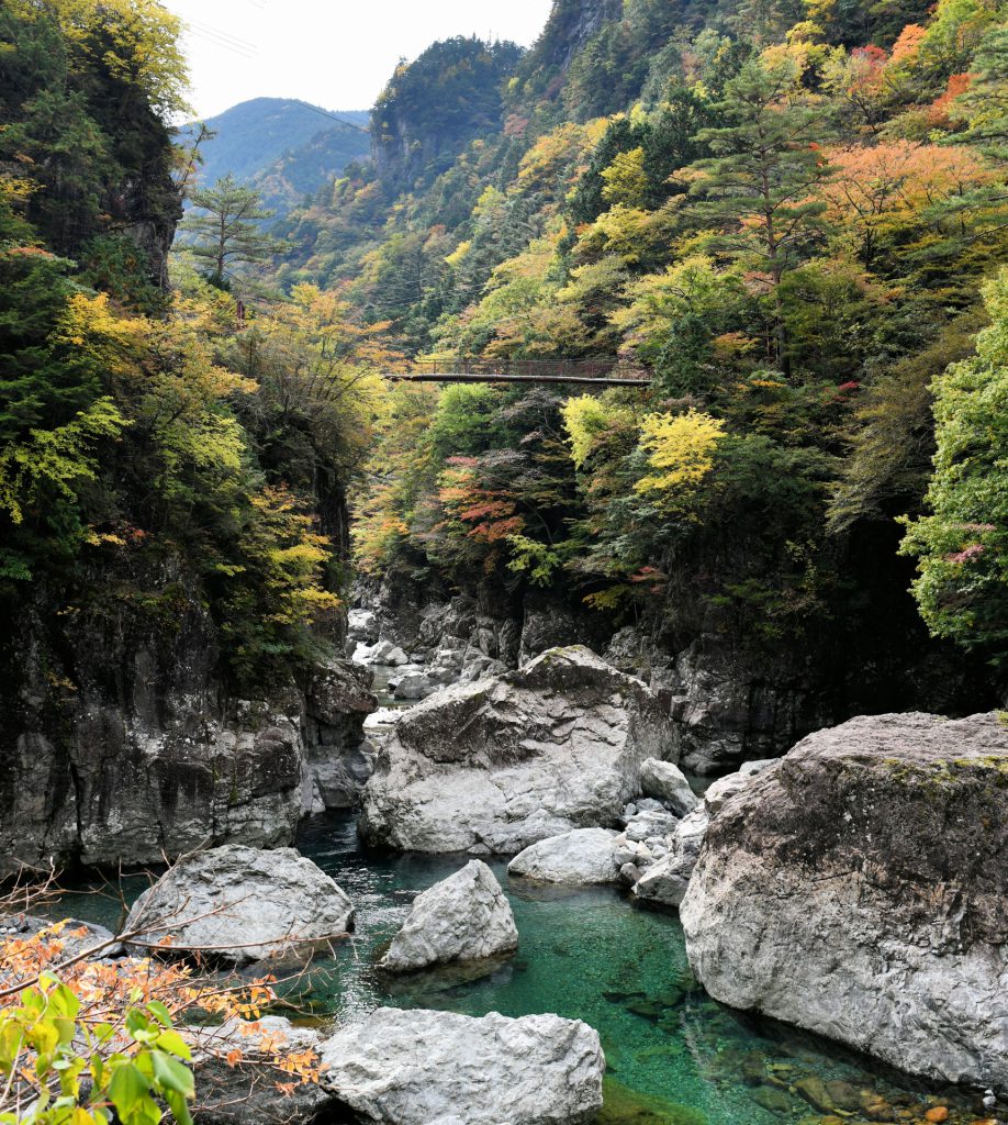 緑の渓谷。切り立った岩には橋が架けられ、下には清流が流れています。