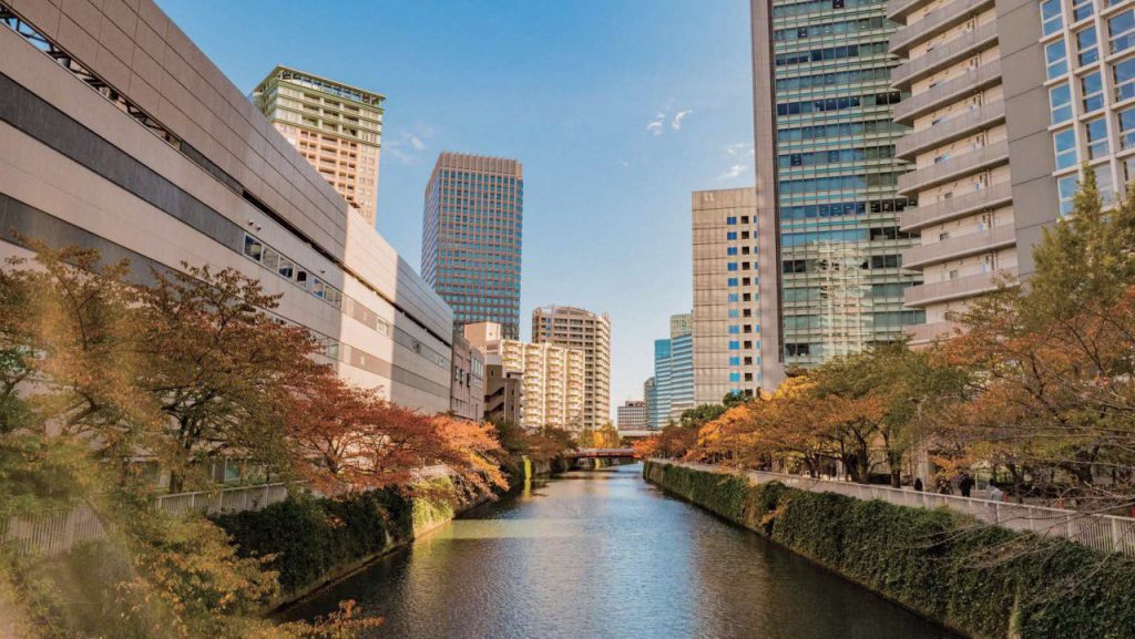 中央に流れる川の両脇に、ほのかに紅葉した桜並木と都会的なビルが立ち並んでいる。