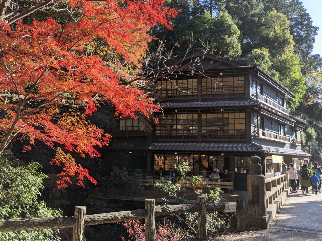 橋のたもとに古い明治時代の建物である瀧道のシンボル「橋本亭」があり、橋の左側は紅葉が見える。