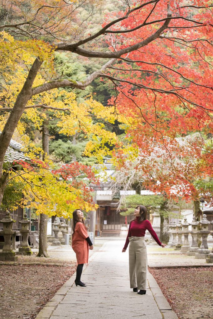 お寺の境内。写真左側に黄色の紅葉の木、右側に赤い紅葉の木があります。写真真ん中に立っている女性二人組がそれらの木々を見上げている。