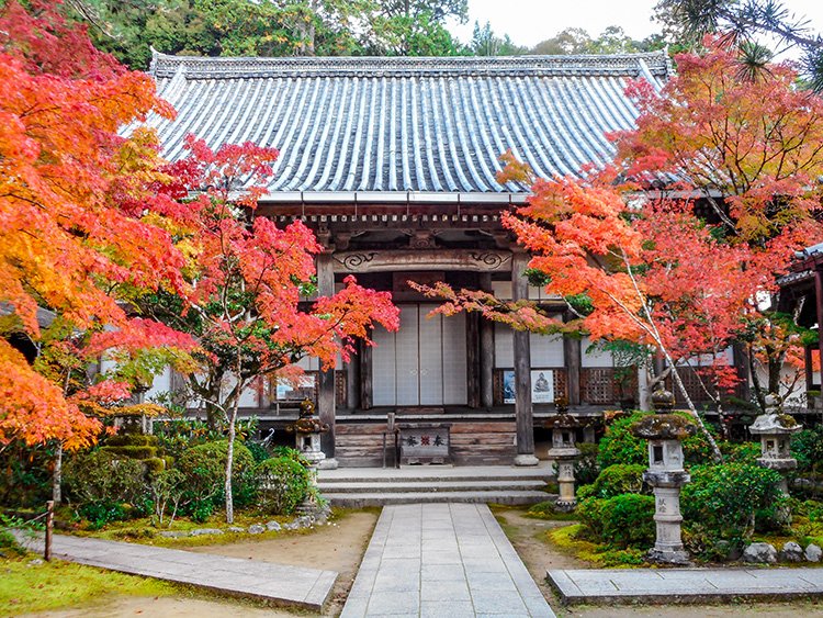 京都府にある西明寺と紅葉の様子。
