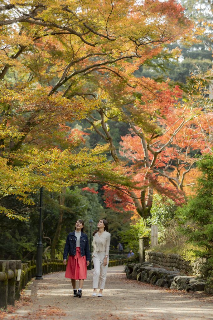 赤、橙、黄色の紅葉の木々のある道。女性二人組が紅葉を見ながら並んで歩いています。
