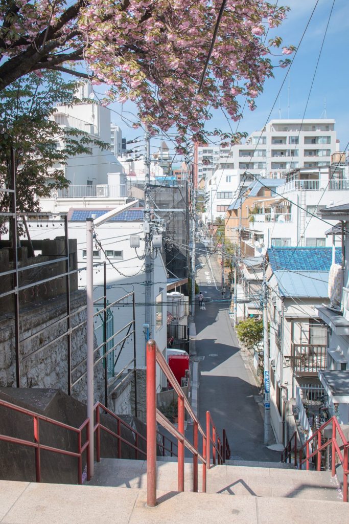 階段の上から住宅街を見下ろす