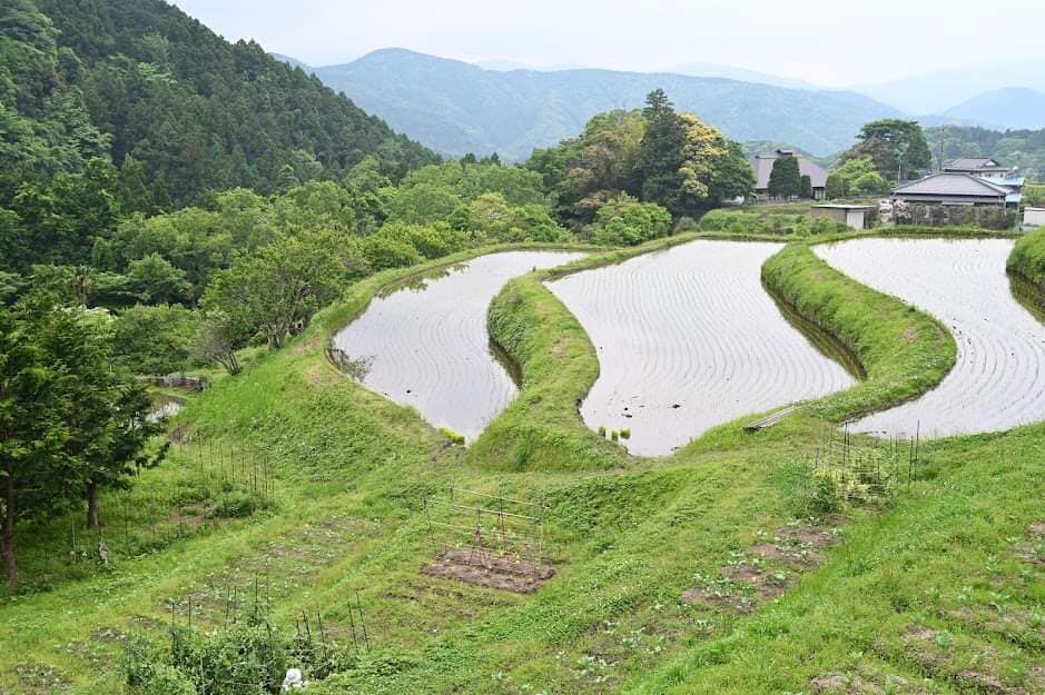 静岡県伊豆市の浅田ファームの「日本の棚田百選」にも選ばれている“荒原の棚田”