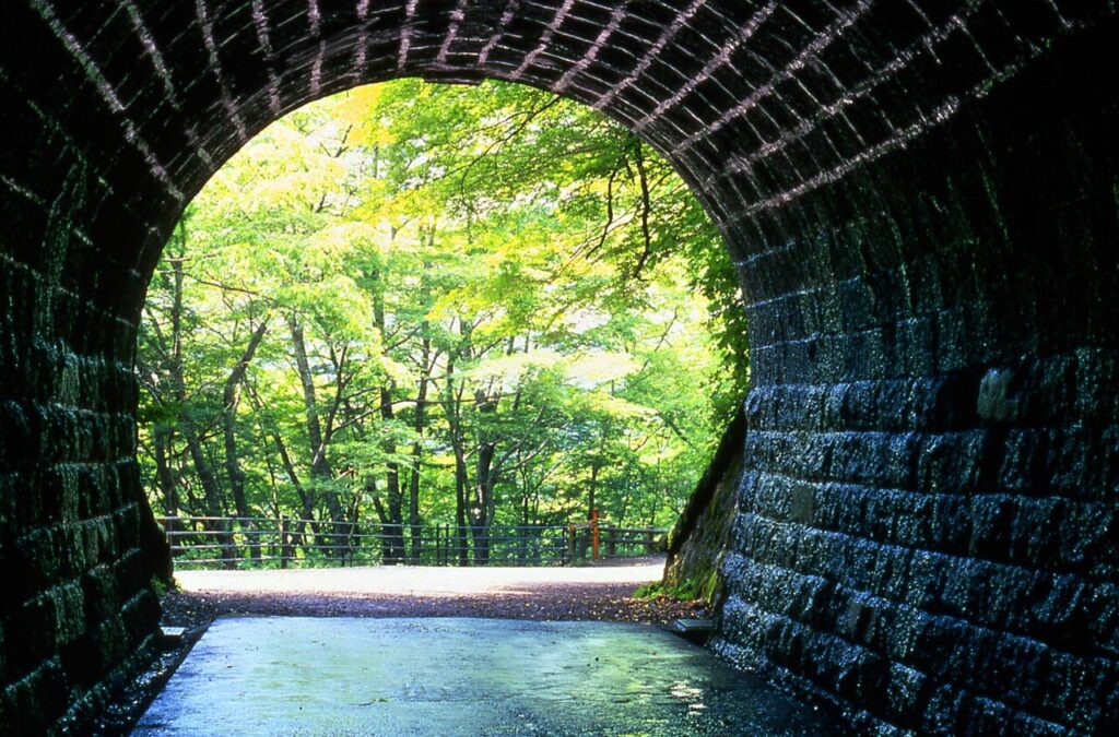 旧天城トンネルの出口。向こうには緑の木々が見える。