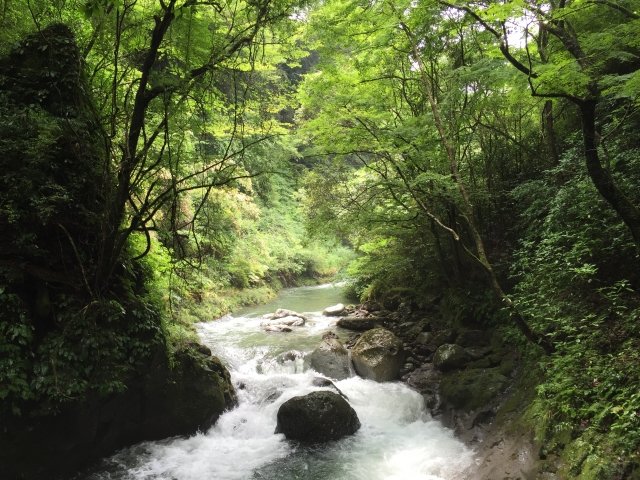 川の両端は木々が生い茂っていて涼し気な雰囲気。